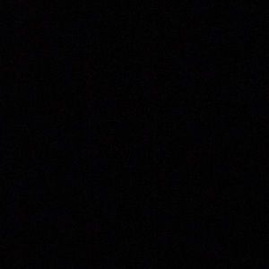 Meet your Posher, Davonte’